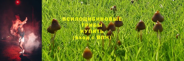 МДПВ Арсеньев