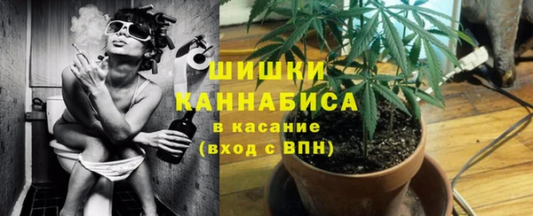 крисы Армянск