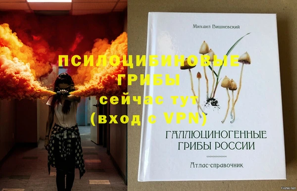 эйфоретик Аркадак