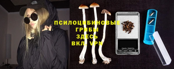 крисы Армянск