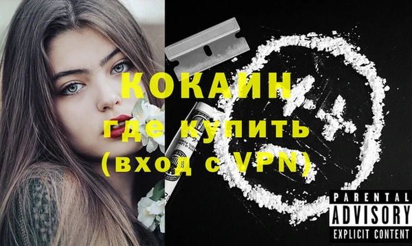 крисы Армянск
